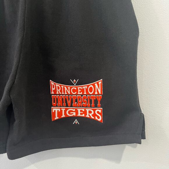 Vintage Velva Sheen Princeton Tigers Shorts Large Collegiate Campus - Picture 4 of 11